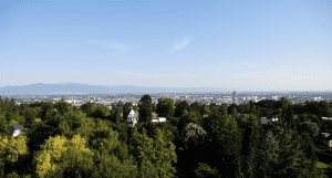 Mulhouse vue du haut, vue sur les Vosges_arbres