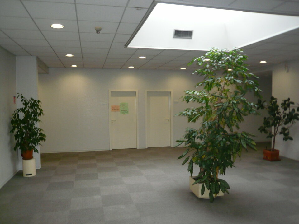 image-mandat