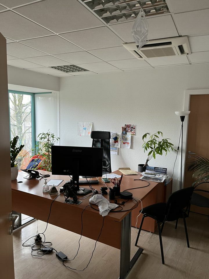 image-mandat