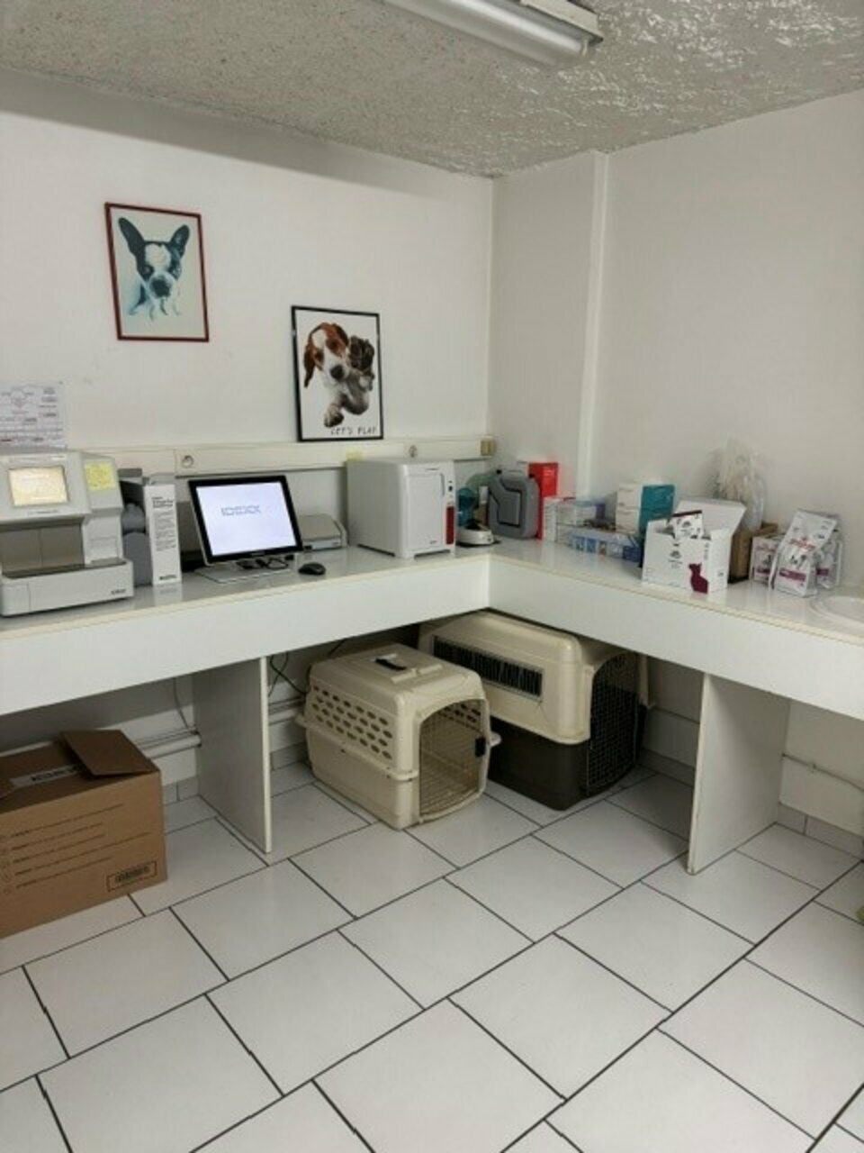 image-mandat